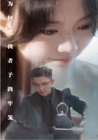 短剧为何爱我者予我牢笼海报
