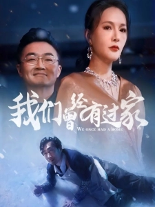 短剧我们曾经有过家海报