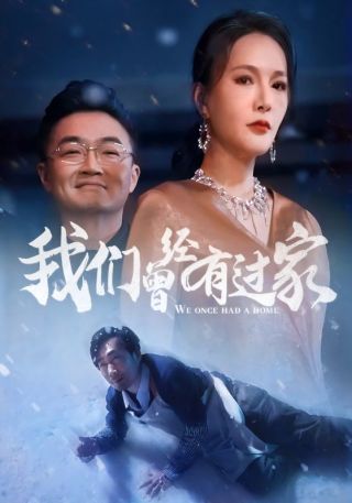 短剧我们曾经有过家海报