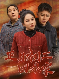 短剧正月初二，回娘家海报