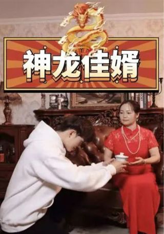 短剧神龙佳婿海报