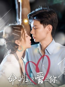 短剧命中注定爱上你海报