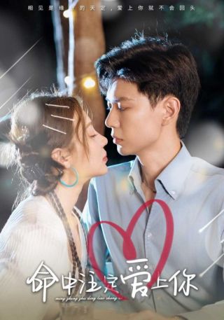 短剧命中注定爱上你海报