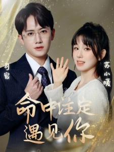 短剧命中注定遇见你海报