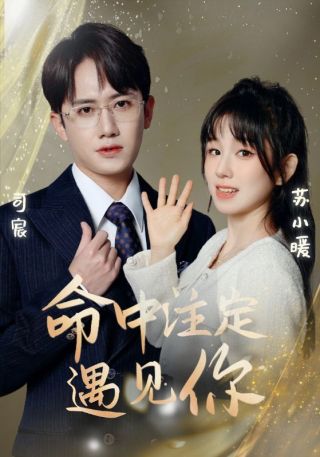 短剧命中注定遇见你海报