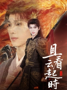 短剧且看云起时海报