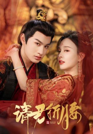 短剧请君折腰海报