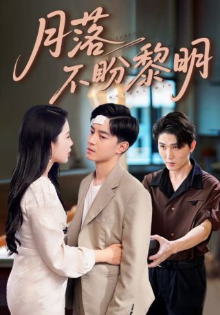 短剧月落不盼黎明海报