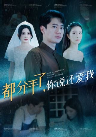 短剧都分手了，你说还爱我海报