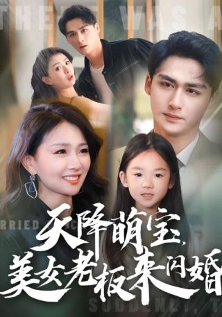 短剧天降萌宝，美女老板来闪婚海报