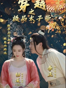 短剧穿越之极品太子爷海报