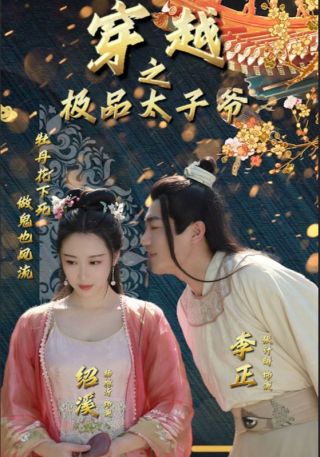 短剧穿越之极品太子爷海报