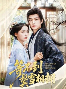 短剧等不到鬓雪相拥海报