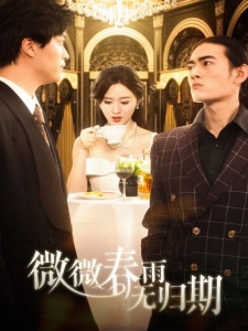 短剧微微春雨无归期海报