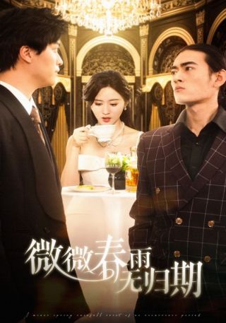 短剧微微春雨无归期海报