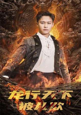 短剧龙行天下被儿欺海报