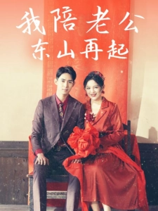 短剧我陪老公东山再起海报