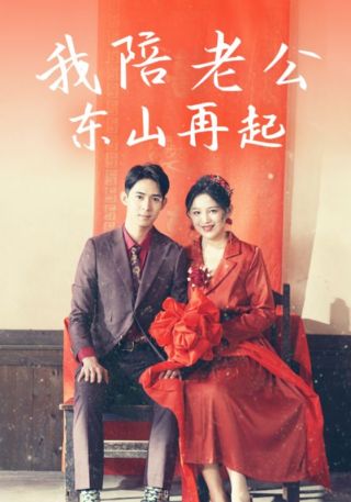 短剧我陪老公东山再起海报