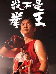 短剧我不是拳王海报