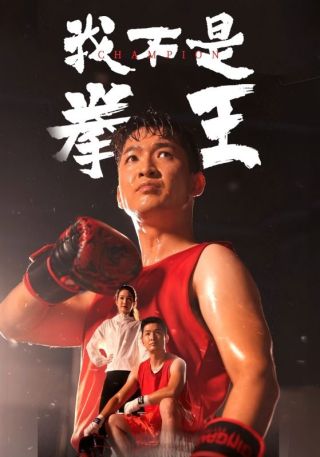 短剧我不是拳王海报