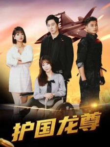 短剧护国龙尊海报