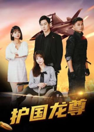 短剧护国龙尊海报
