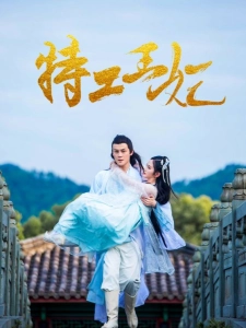 短剧特工王妃海报