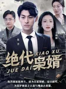 短剧绝代枭婿海报