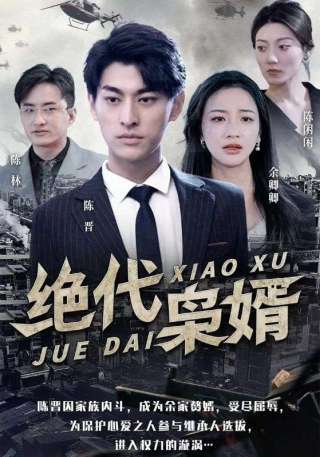 短剧绝代枭婿海报