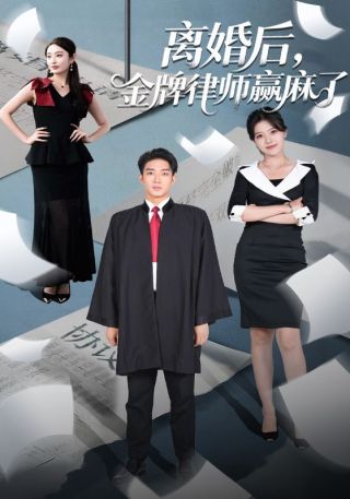 短剧离婚后，金牌律师赢麻了海报