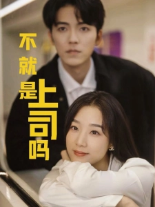 短剧不就是上司吗海报