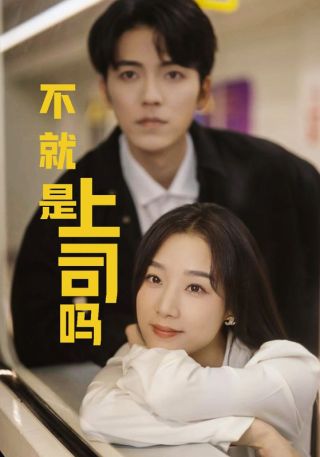 短剧不就是上司吗海报