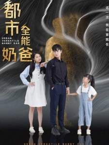 短剧都市全能奶爸海报