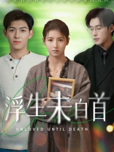 短剧浮生未白首海报