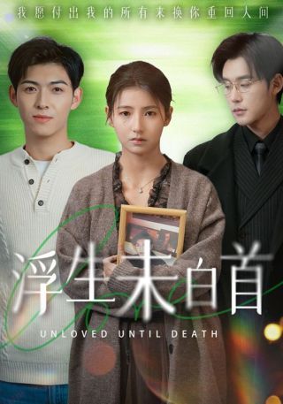 短剧浮生未白首海报