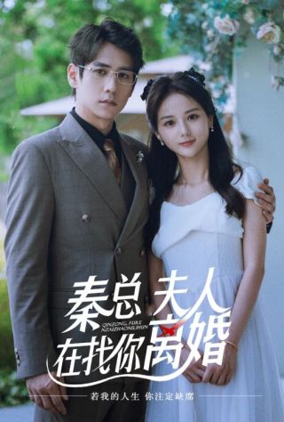 短剧秦总夫人在找你离婚海报