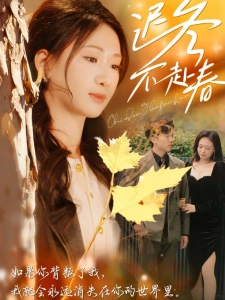 短剧迟冬不赴春海报