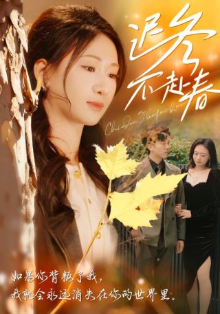 短剧迟冬不赴春海报