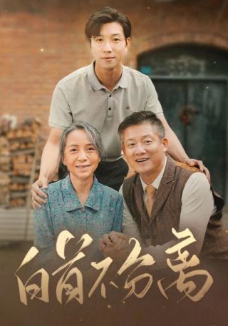 短剧白首不分离海报