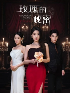 短剧玫瑰的秘密海报