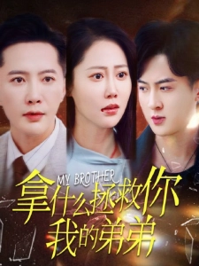 短剧拿什么拯救你我的弟弟海报