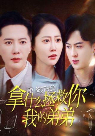 短剧拿什么拯救你我的弟弟海报