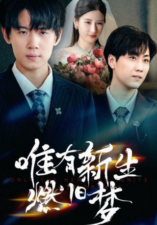 短剧唯有新生燃旧梦海报