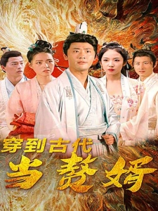 短剧穿到古代当赘婿海报