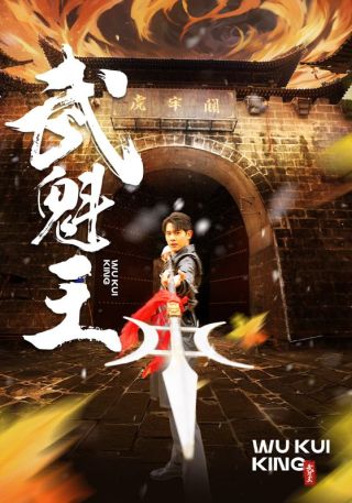 短剧武魁王海报