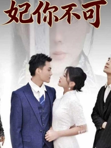 短剧妃你不可海报