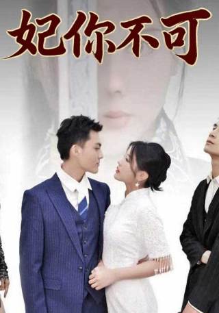 短剧妃你不可海报