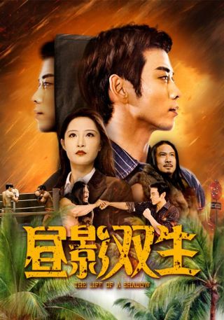 短剧昼影双生海报