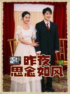 短剧昨夜思念如风海报