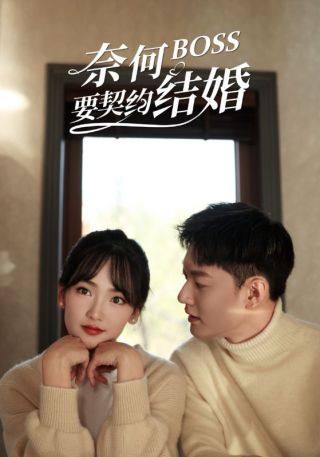 短剧奈何BOSS要契约结婚海报